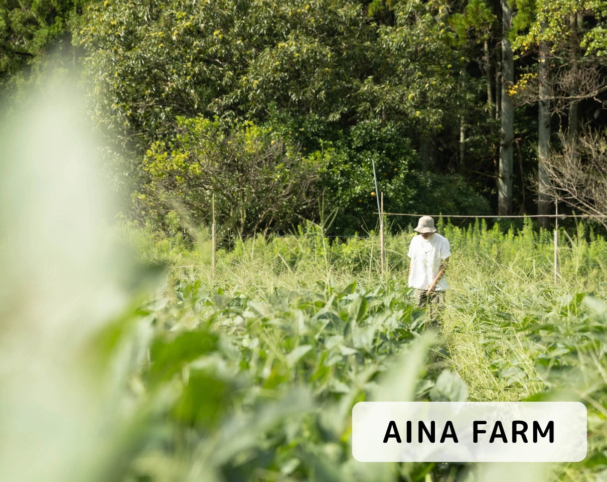 ギフトで応援 SOYSCREAM!!!(ギフト購入)