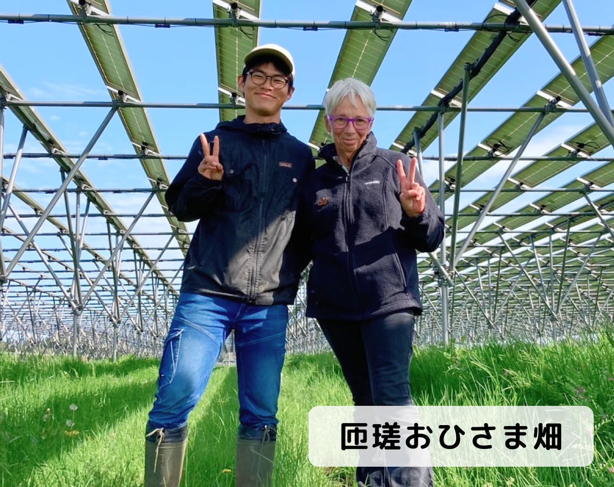 いますぐ応援 SOYSCREAM!!!(単発購入）